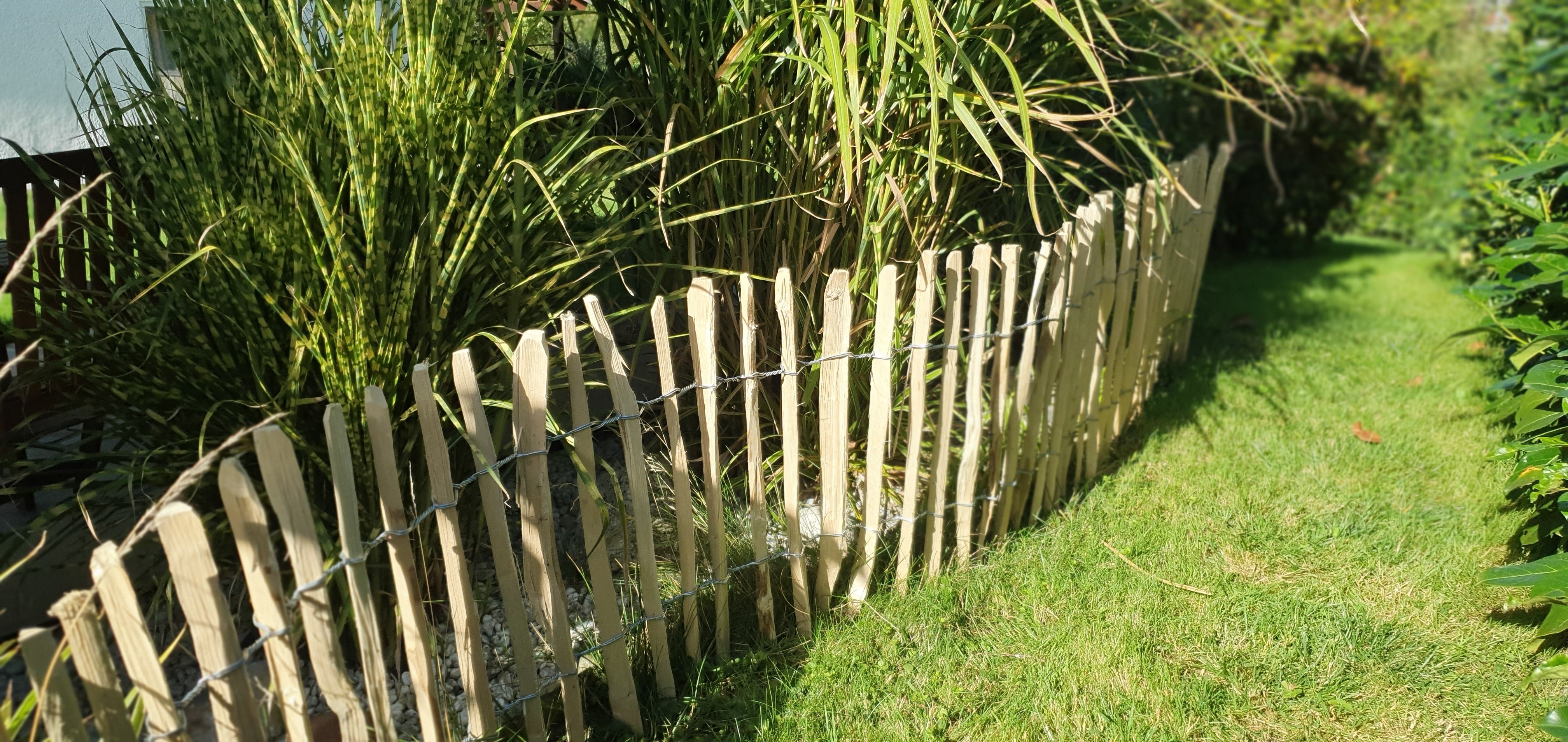 Haselnusszaun Garten Abgrenzung
