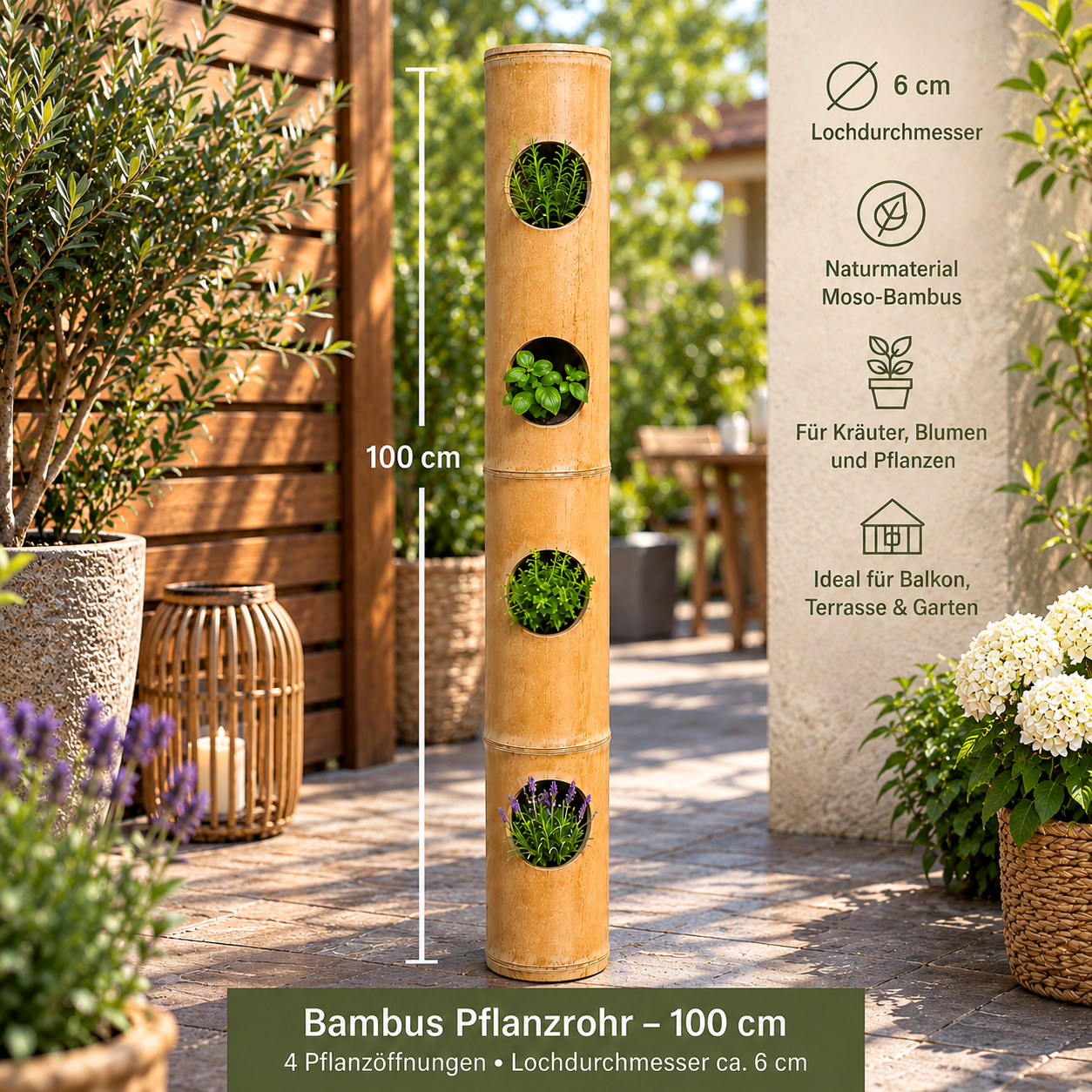 Bambusrohr 100 cm - für kreative Bepflanzungen