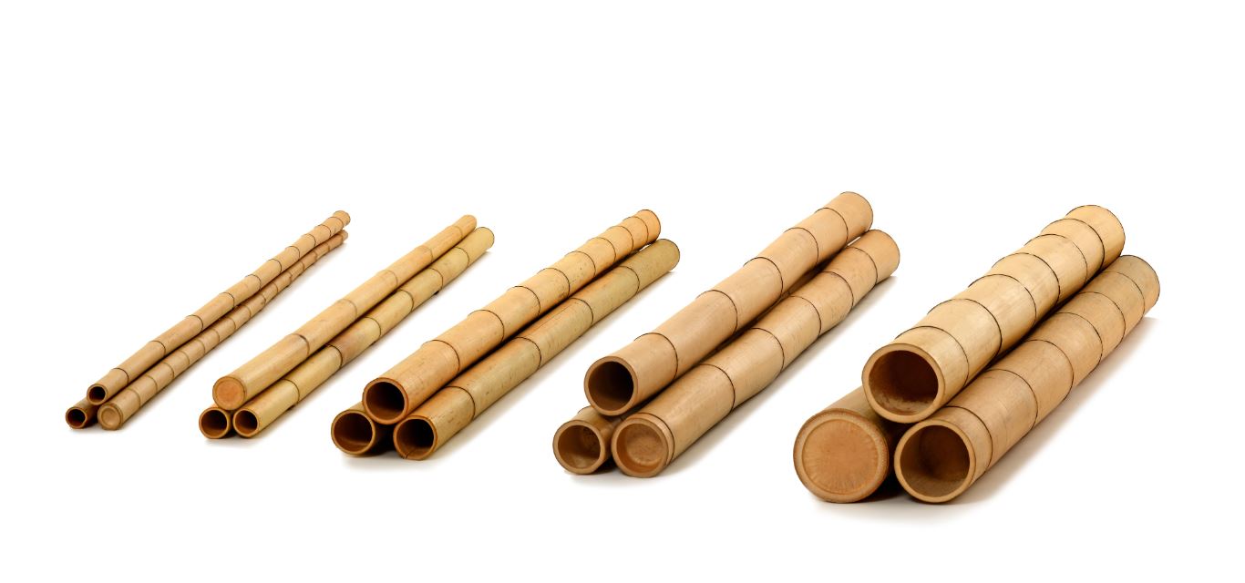 Bambusrohre 8-10 cm