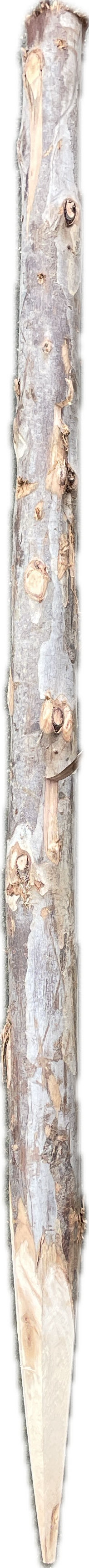 Holzpfahl aus Eukalyptusholz