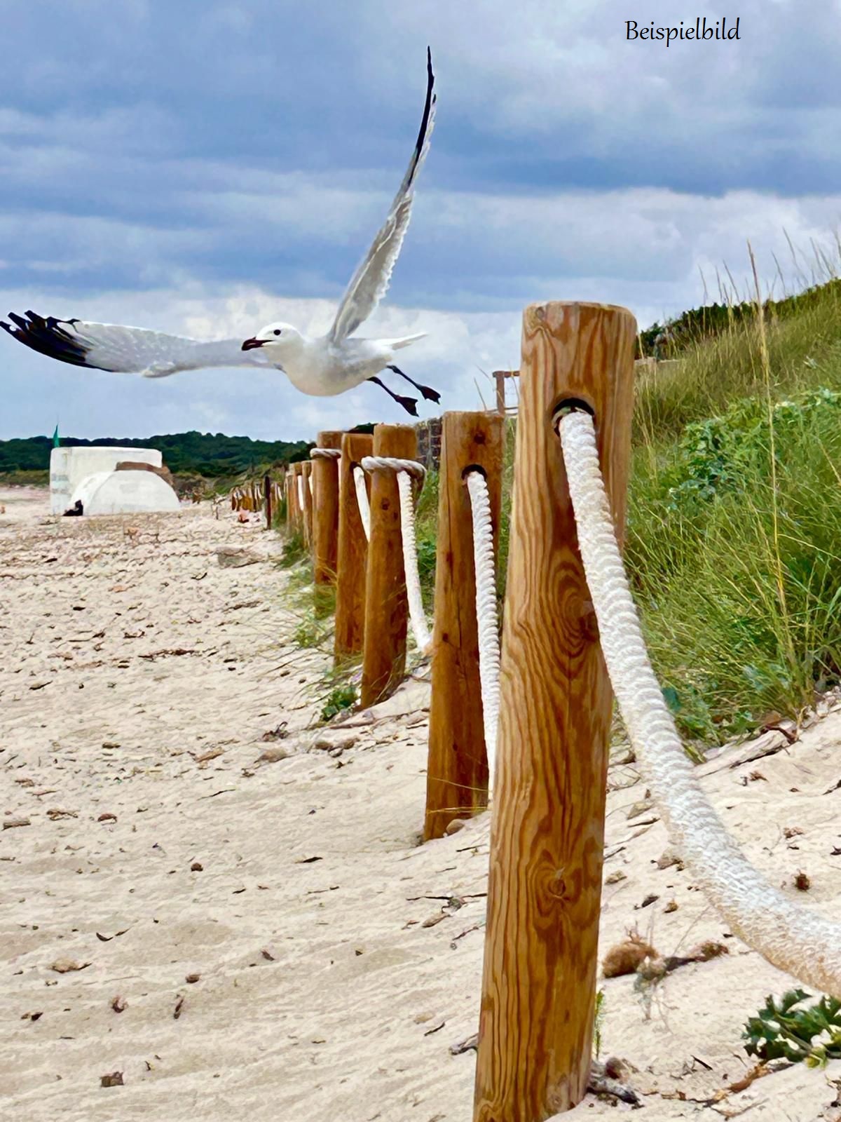 Seilzaun am Strandabsperrung